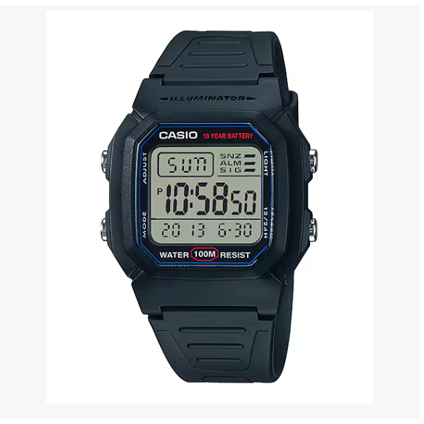 CASIO DIGITAL SORT