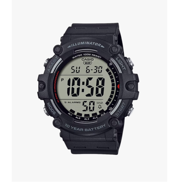 CASIO DIGITAL SORT