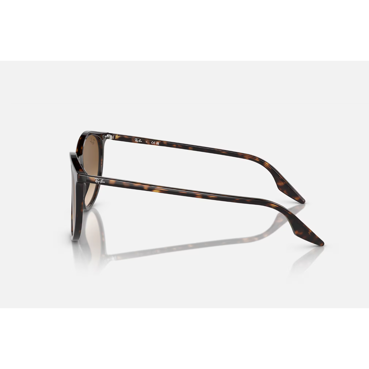 RAYBAN RB2204
