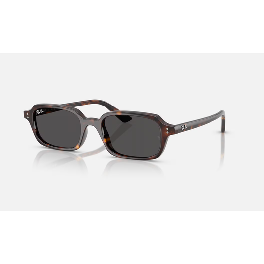 RAYBAN BIO-BASED RB4455
