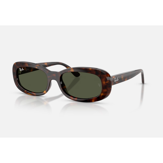 RAYBAN RB2221