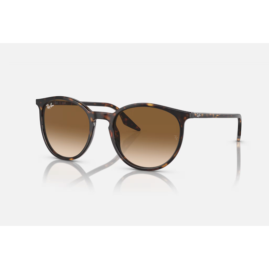 RAYBAN RB2204