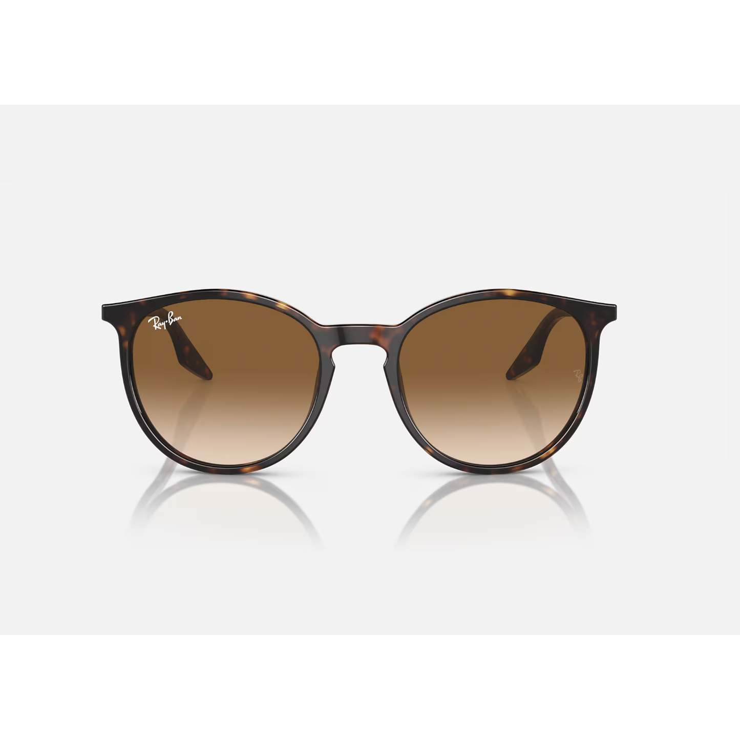 RAYBAN RB2204